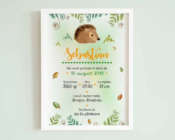 Tablou personalizat bebe Tiny Hedgehog, cu arici si informatii despre nou nascut.